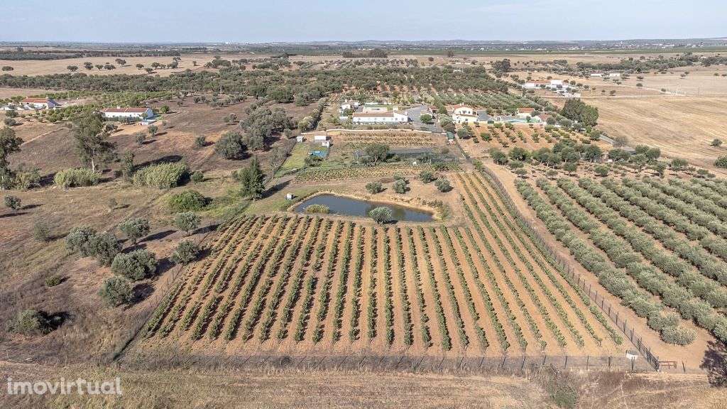 Quinta com piscina em Ferreira do Alentejo - Grande imagem: 4/19