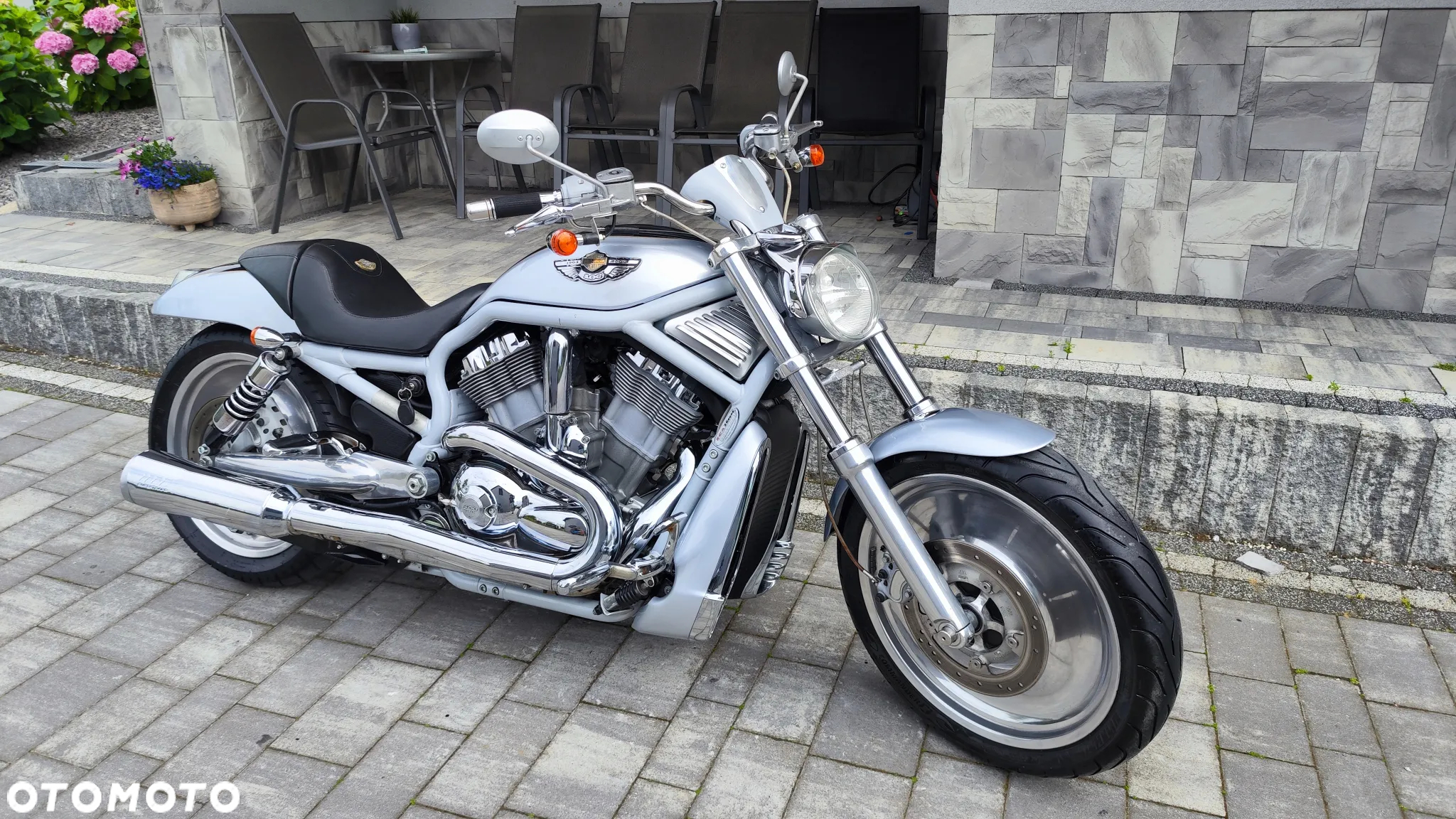 Harley-Davidson Softail V-Rod - 3
