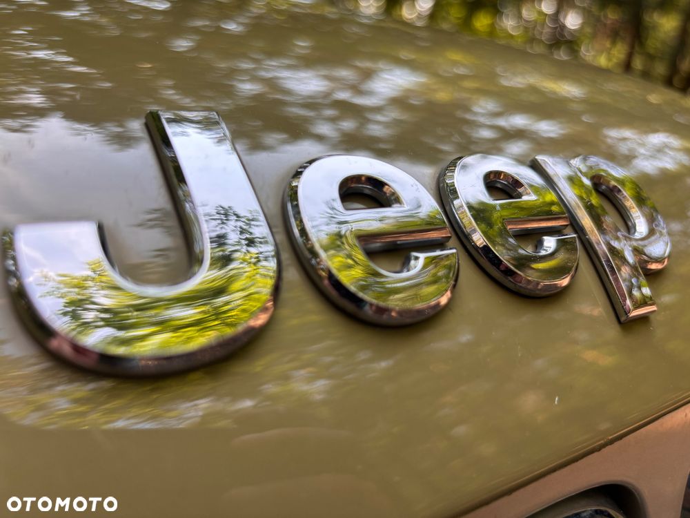 Jeep Renegade - 15