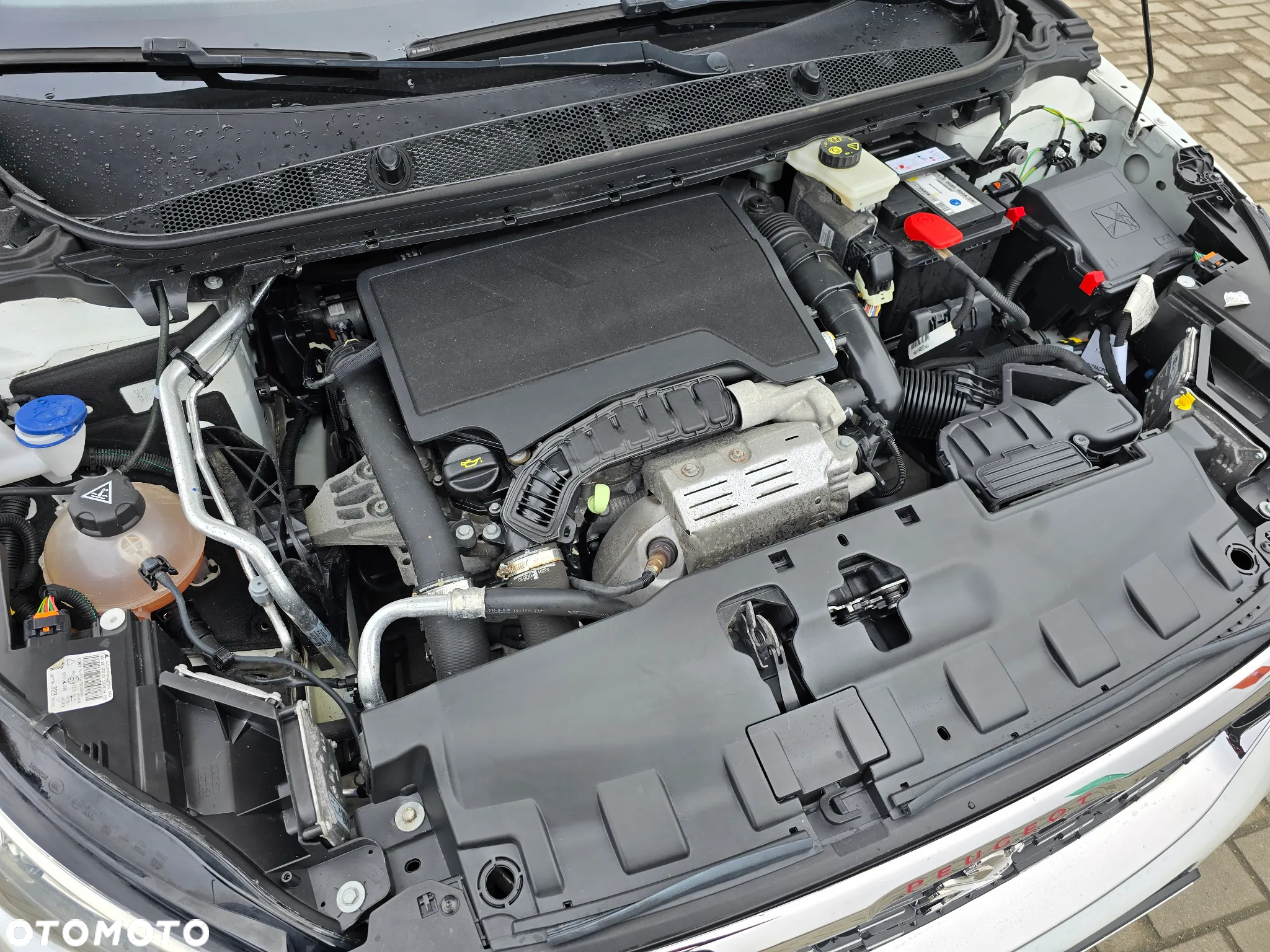 Peugeot 308 - 16