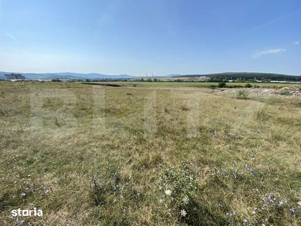 Teren extravilan Criseni, 3800 mp - Imagine principală: 2/5