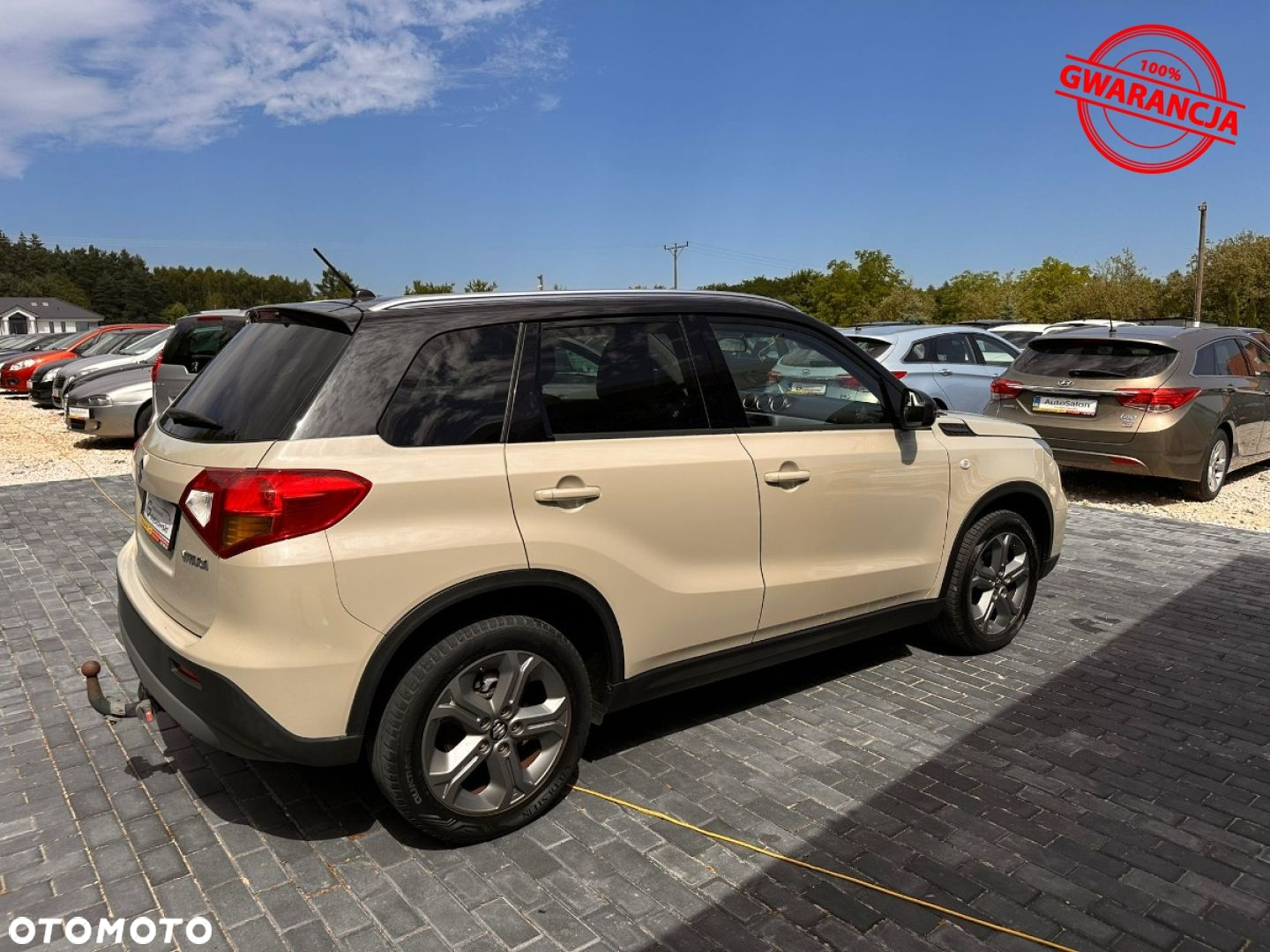 Suzuki Vitara - 8