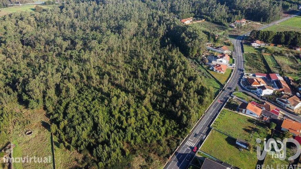 Terreno em Beduído e Veiros - Grande imagem: 3/6