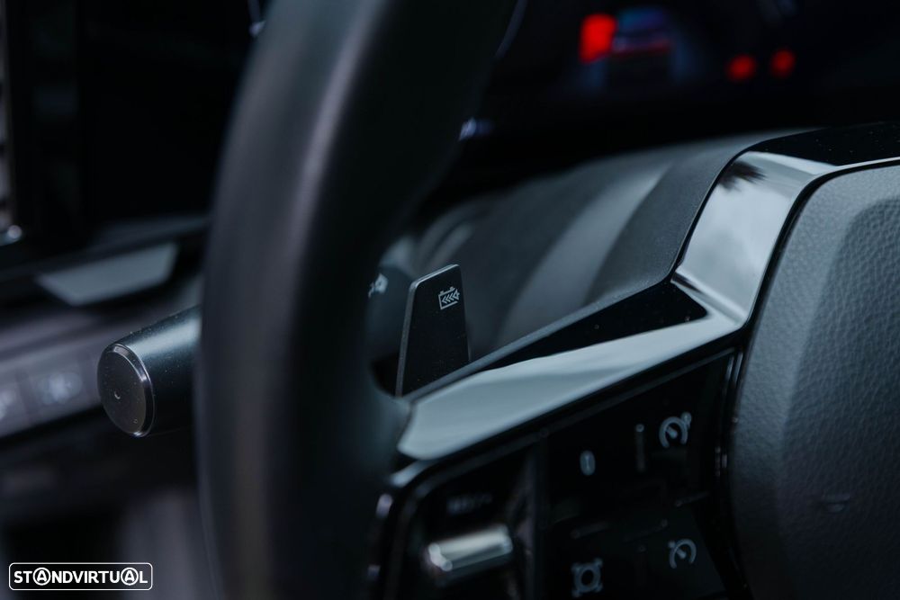Renault Mégane - 16