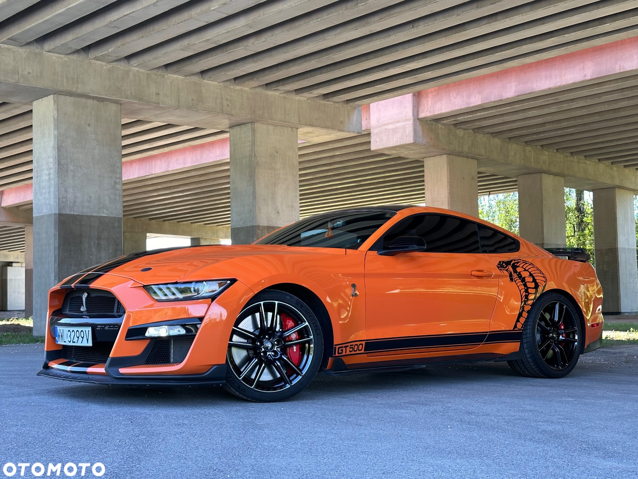 Ford Mustang - 15