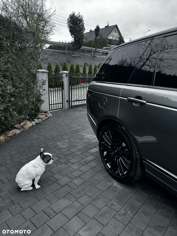 Land Rover Range Rover 5.0 V8 Kompressor Vogue - 16