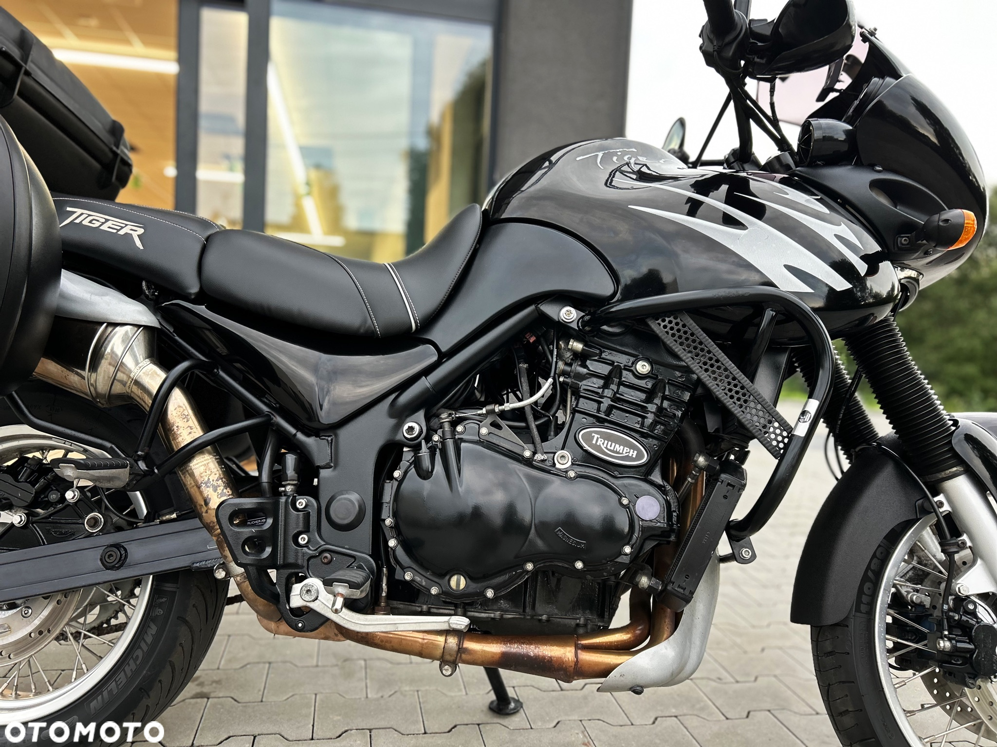 Triumph Tiger - 4
