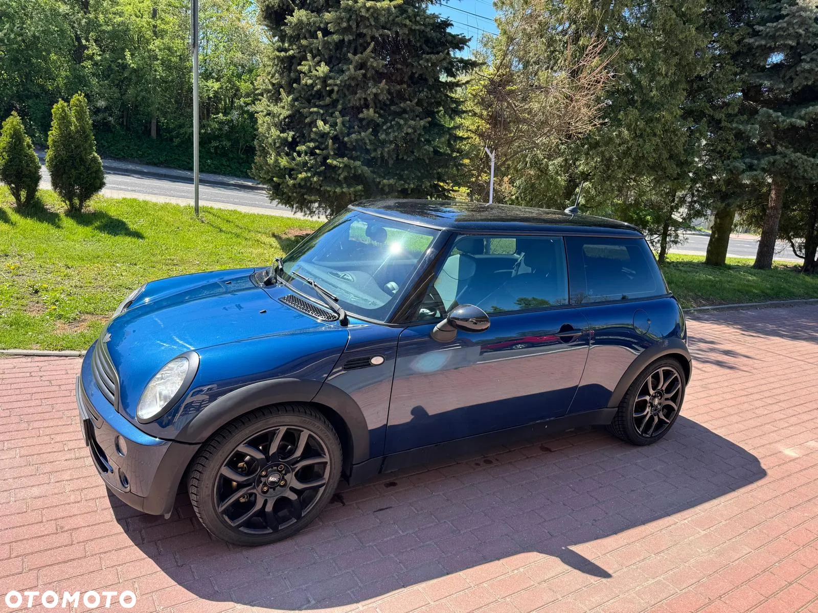 MINI Cooper Checkmate - 24