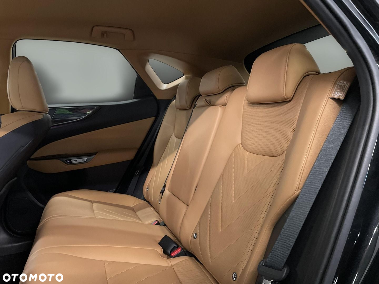 Lexus NX - 15