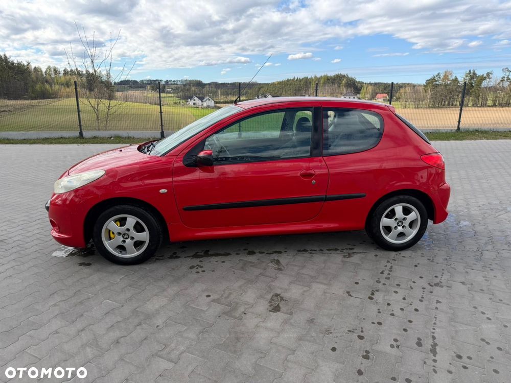 Peugeot 206 plus - 2