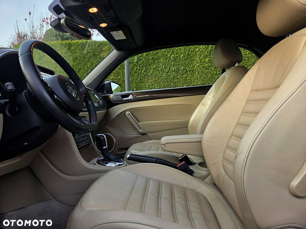 Volkswagen Beetle - 8
