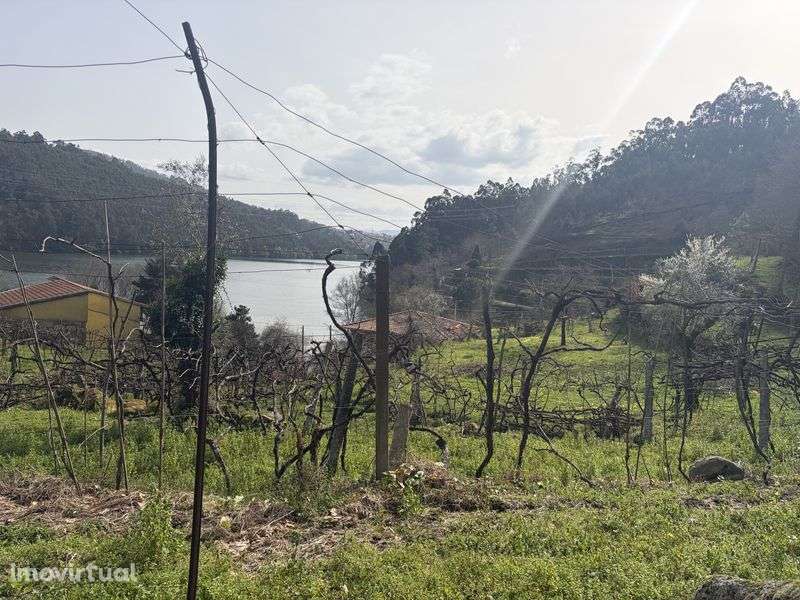 Quinta em Rio de Moinhos - Grande imagem: 2/7