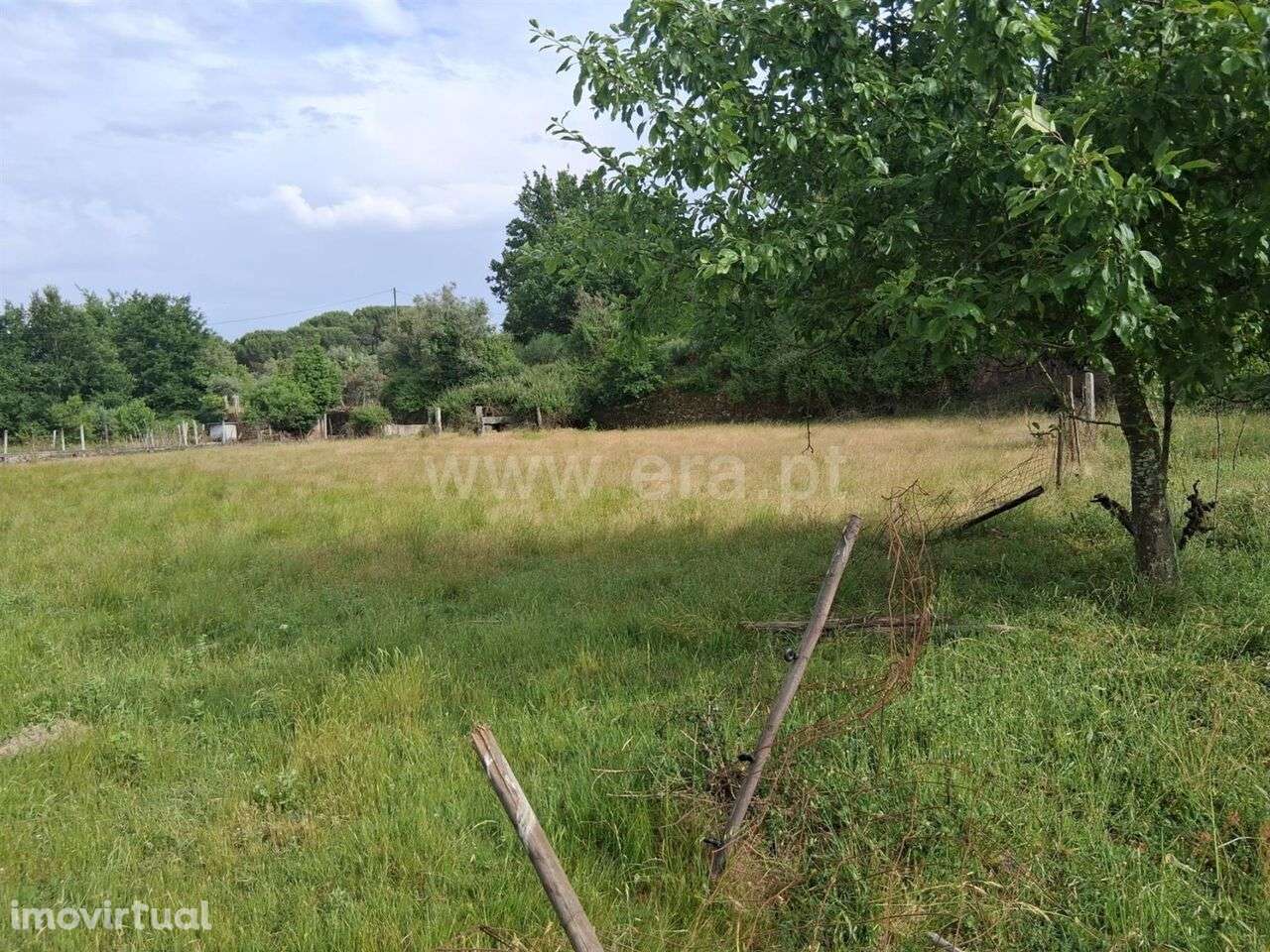 Terreno / Seia, Paranhos - Grande imagem: 3/9