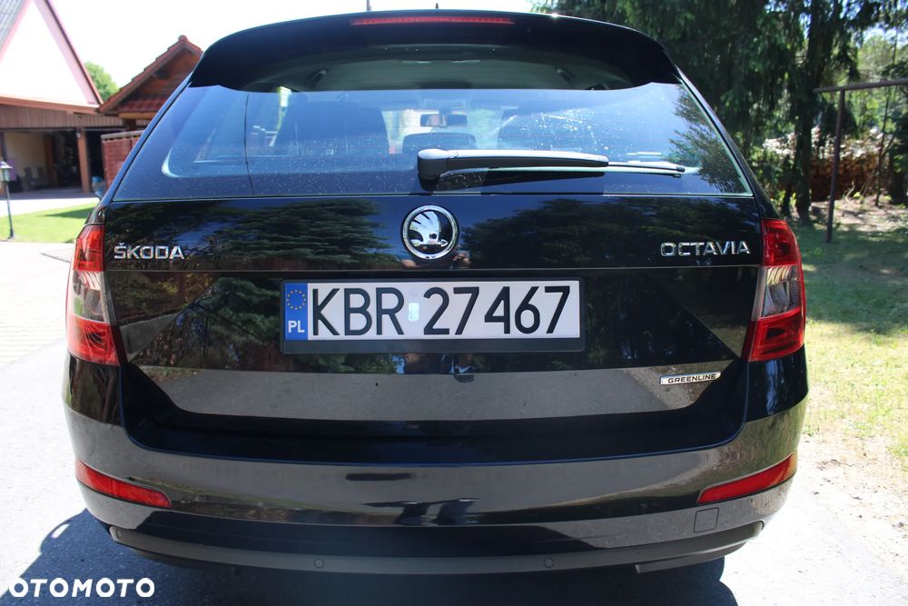 Skoda Octavia 1.6 TDI Greenline EU6 - 8