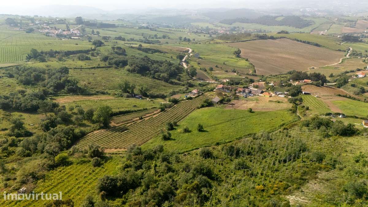 Terreno de 4000m² c/ Viabilidade de Construção em Maceira, Dois Portos - Grande imagem: 3/27