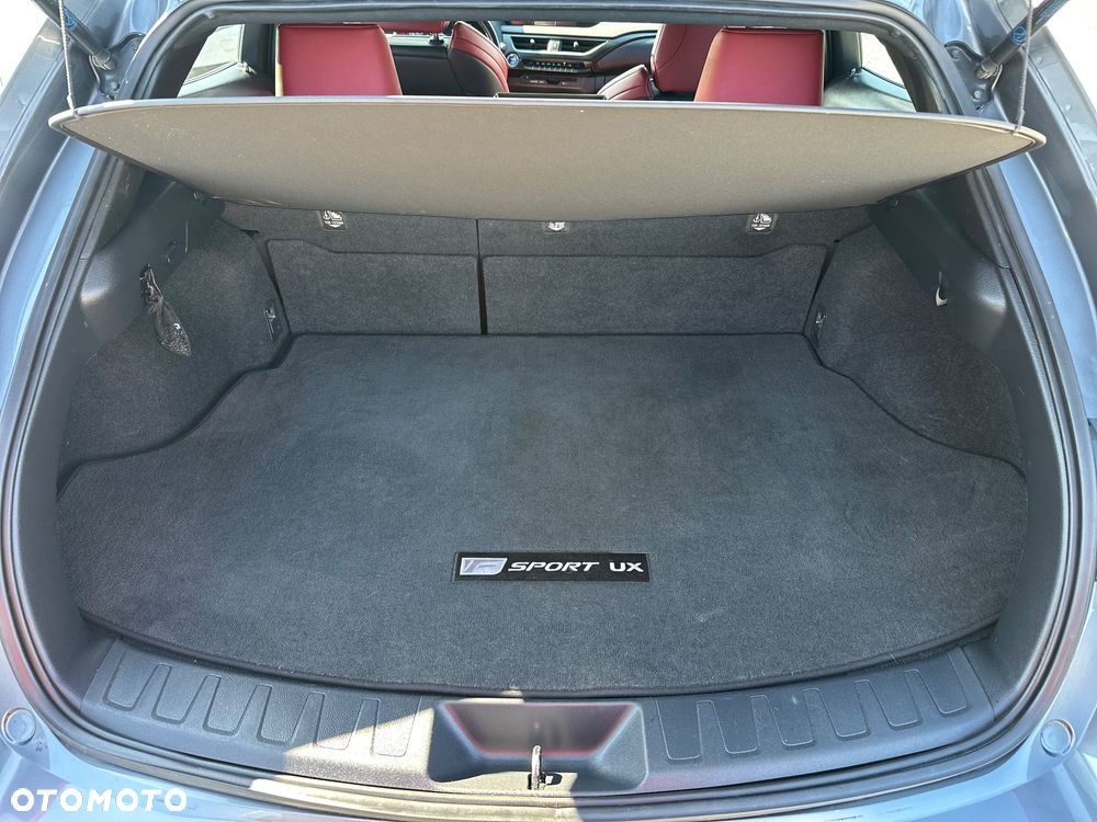 Lexus UX 250h F SPORT - 6