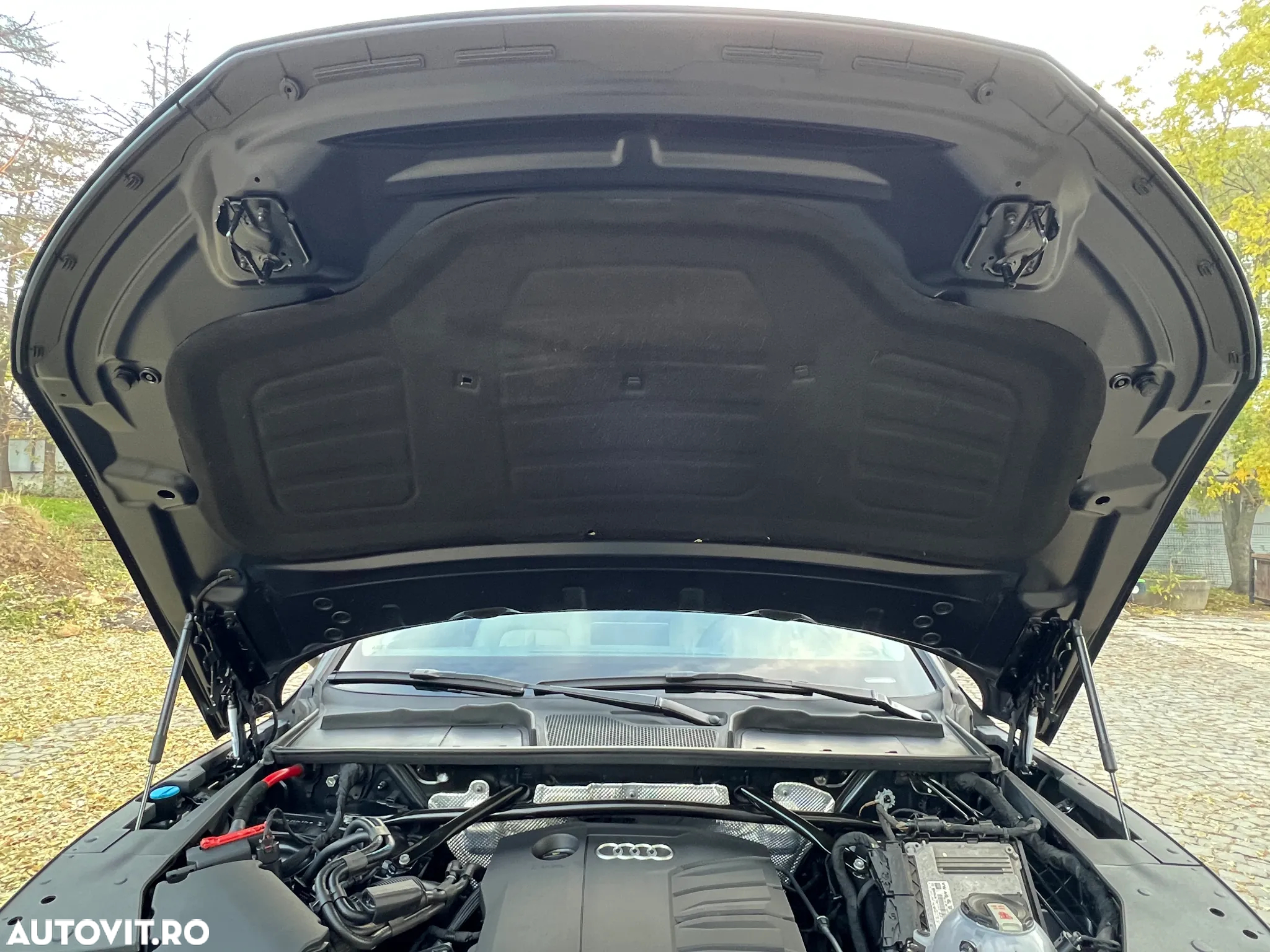 Audi Q5 35 TDI S tronic MHEV Basic - 16