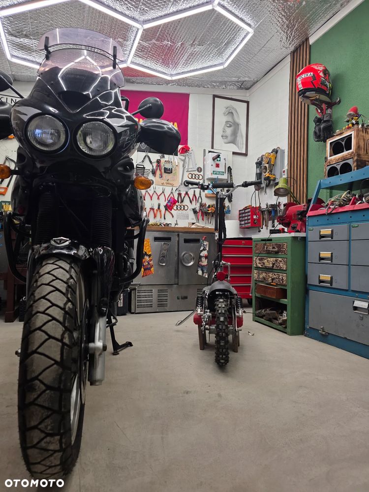 Triumph Tiger - 9