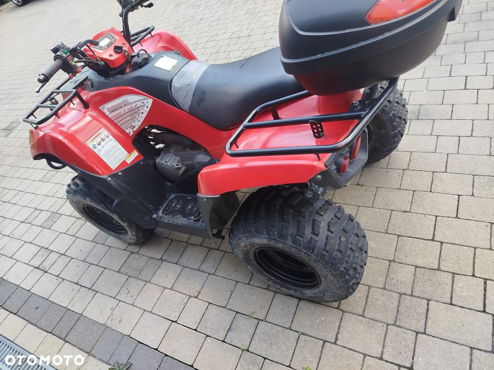 Kawasaki Brute Force - 7