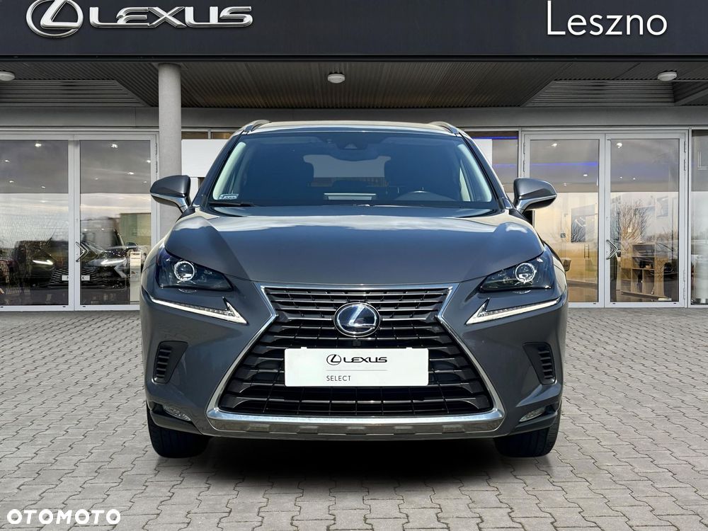 Lexus NX 300h Elegance AWD - 7