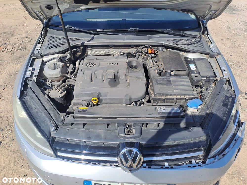 Volkswagen Golf 1.6 TDI Trendline - 10