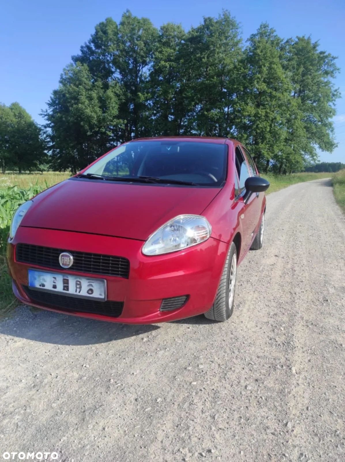 Fiat Punto - 1