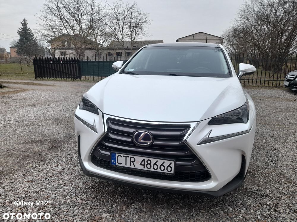 Lexus NX 300h Comfort AWD - 4