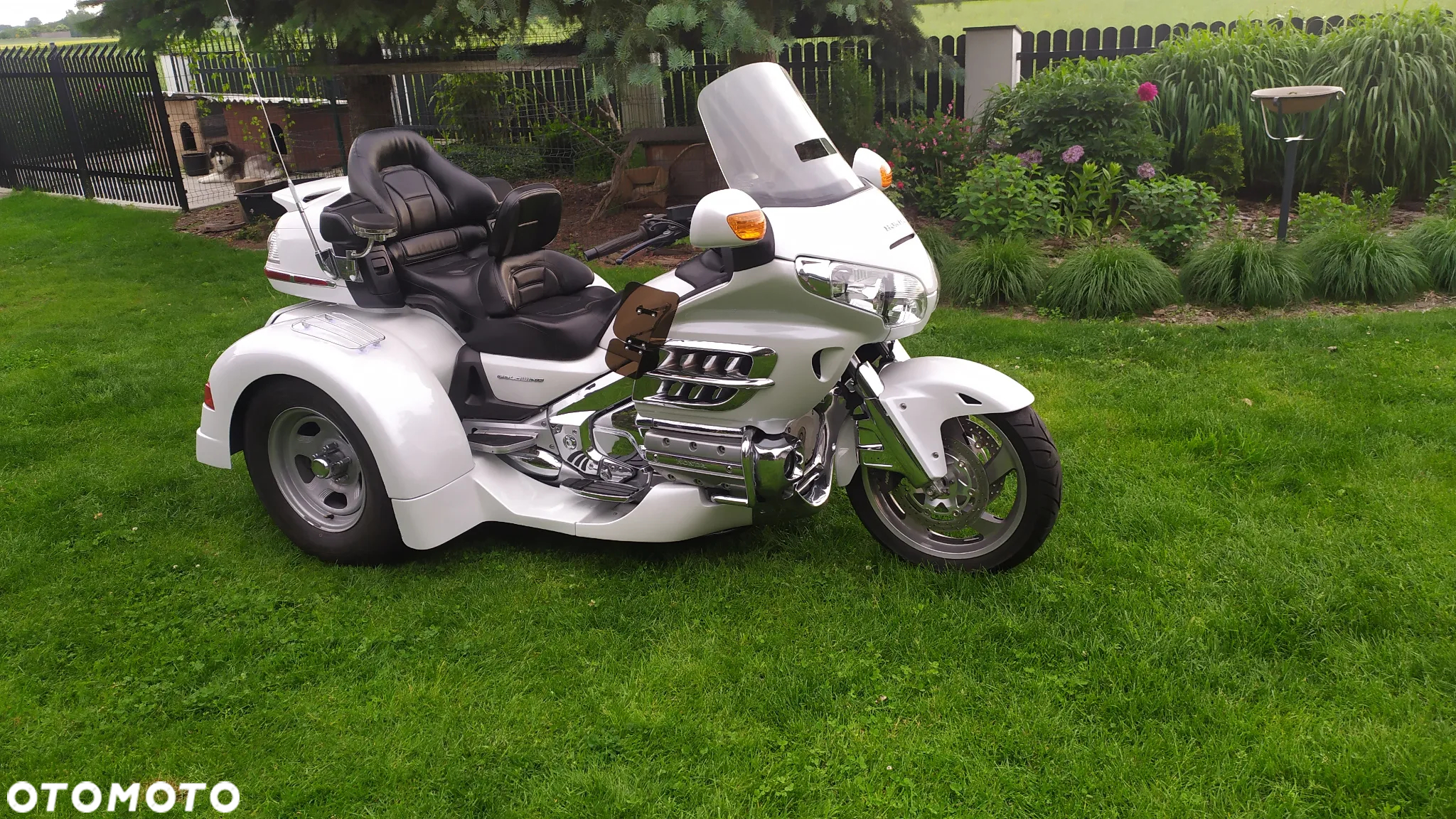 Honda GL - 2