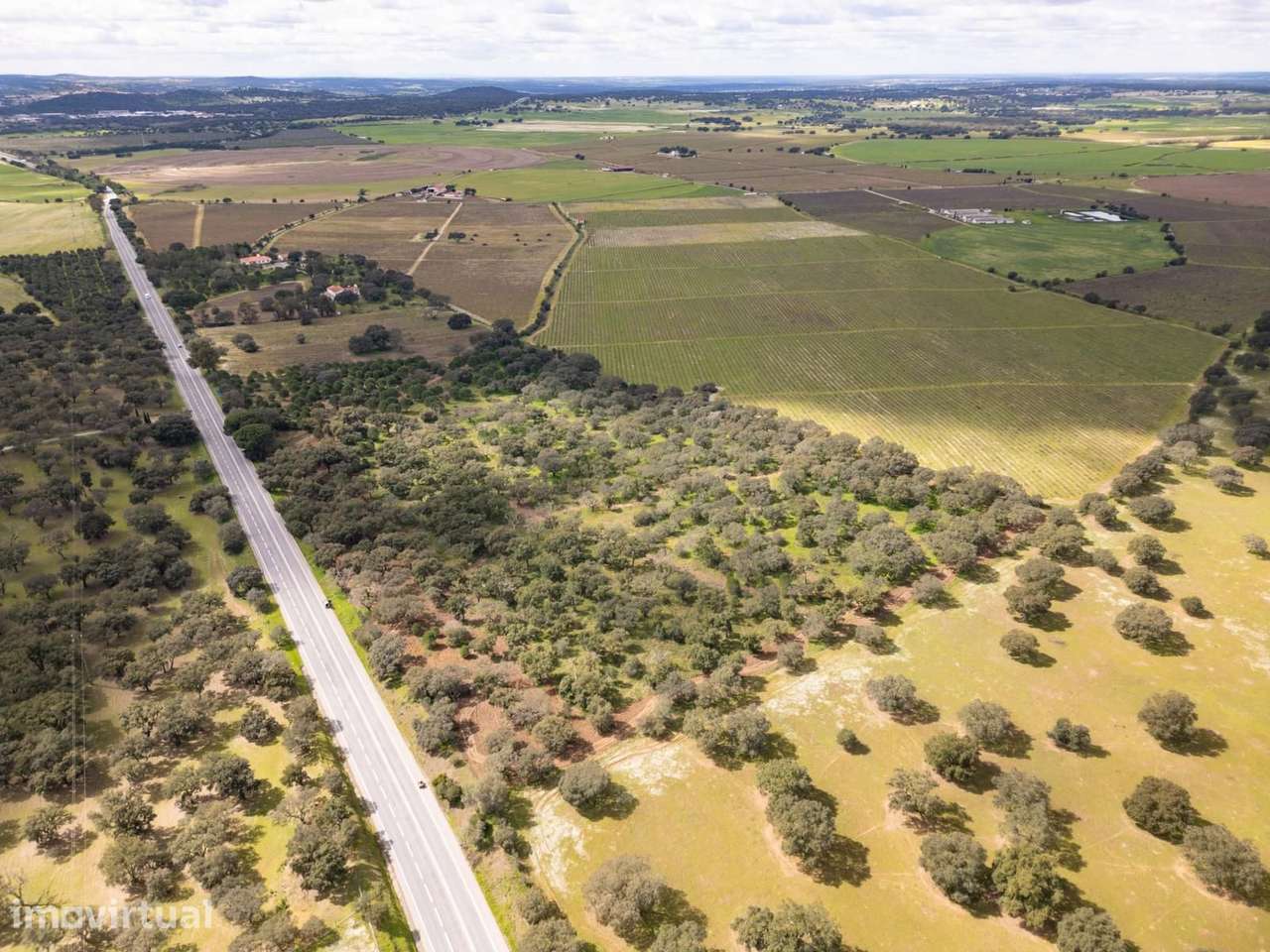Terreno Rústico 7.5 ha, Quinta da Amoreira, Montemor-o-Novo - Grande imagem: 5/25
