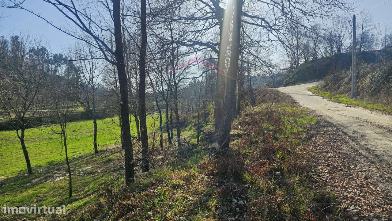 Terreno  Venda em Mamouros, Alva e Ribolhos,Castro Daire - Grande imagem: 5/9