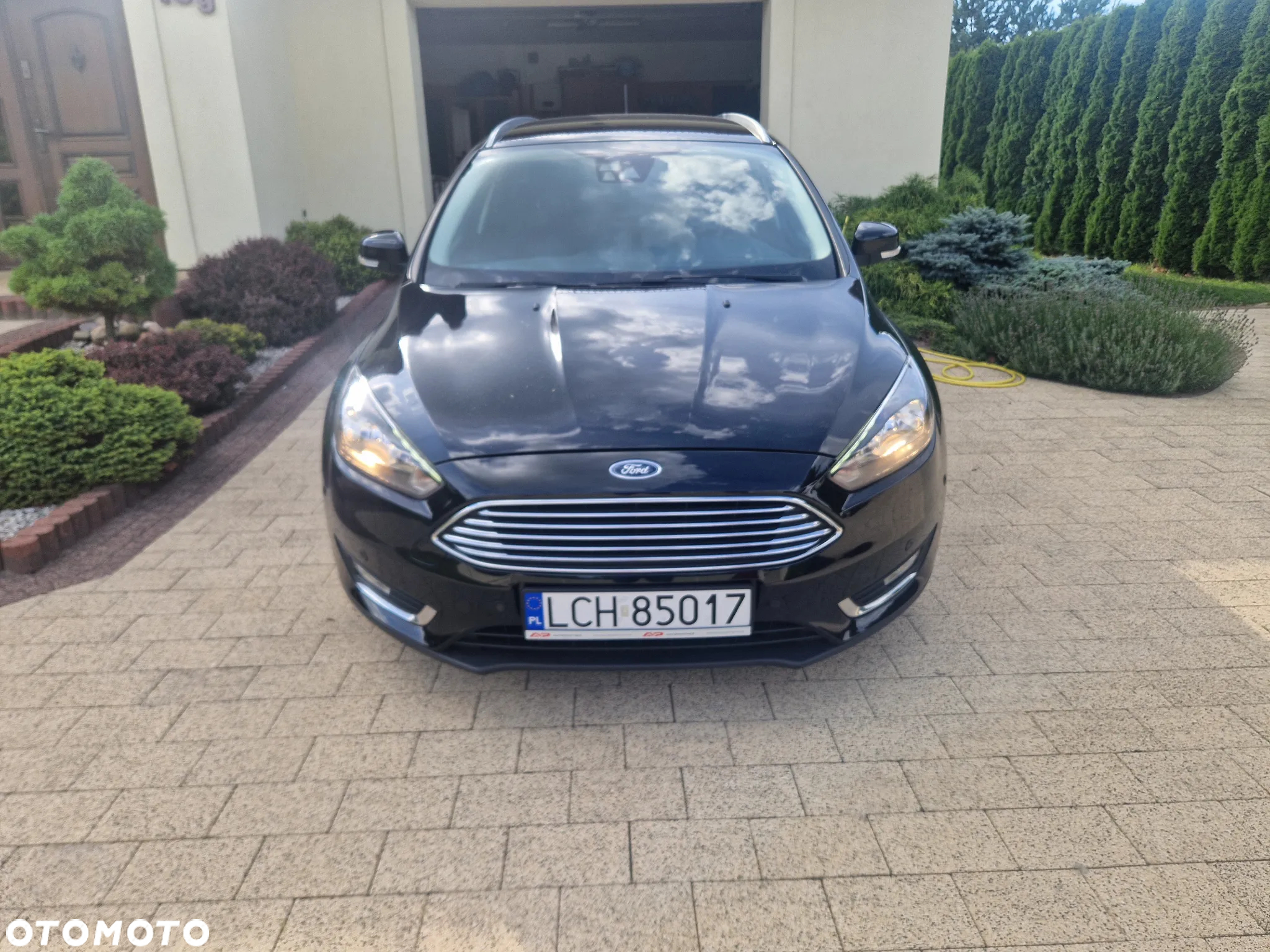 Ford Focus - 2