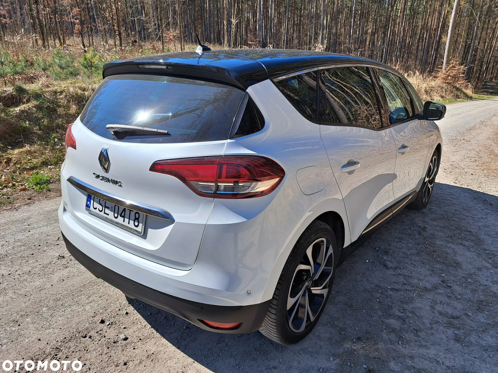 Renault Scenic 1.6 dCi Energy Bose - 13