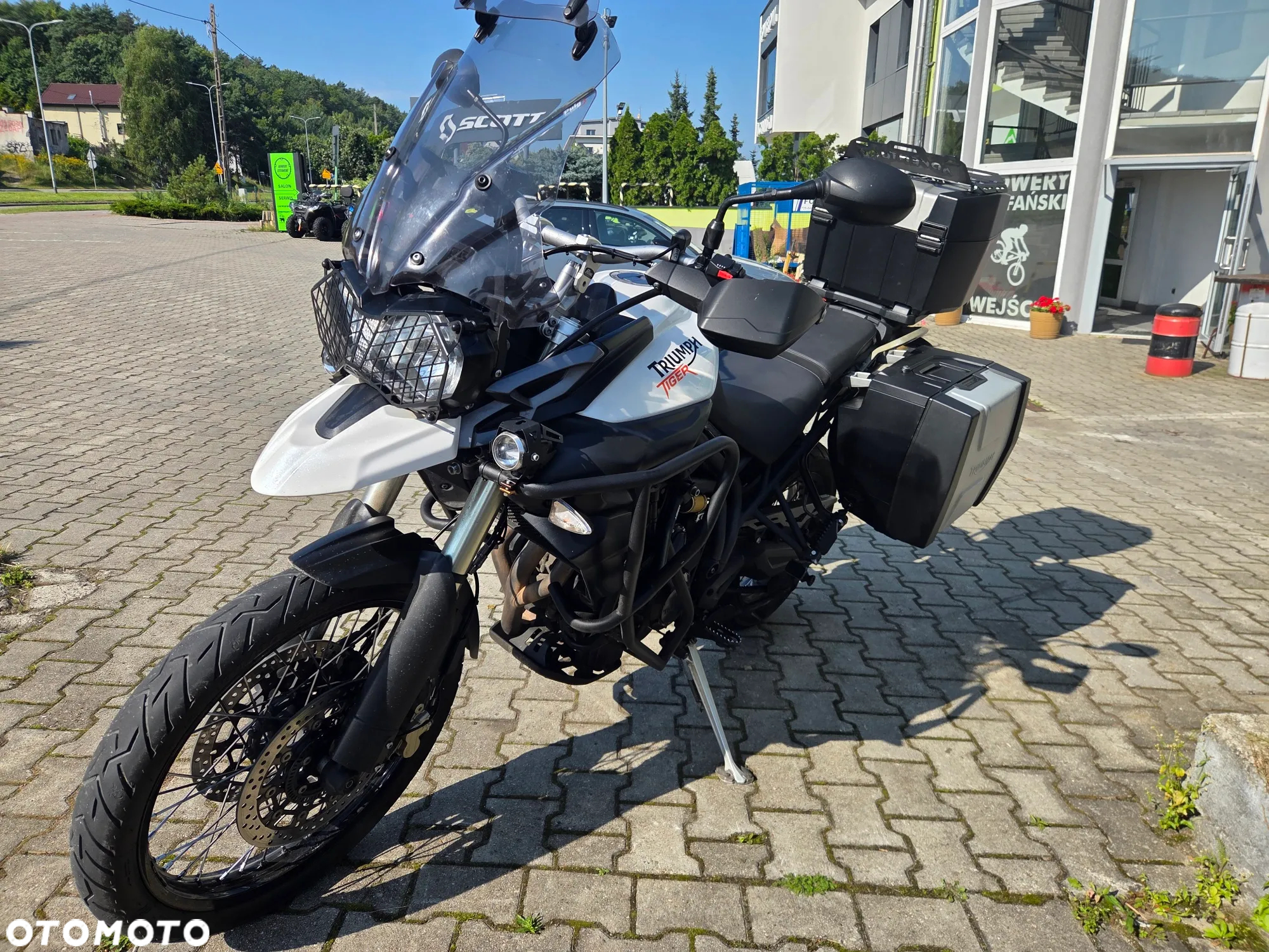 Triumph Tiger - 4