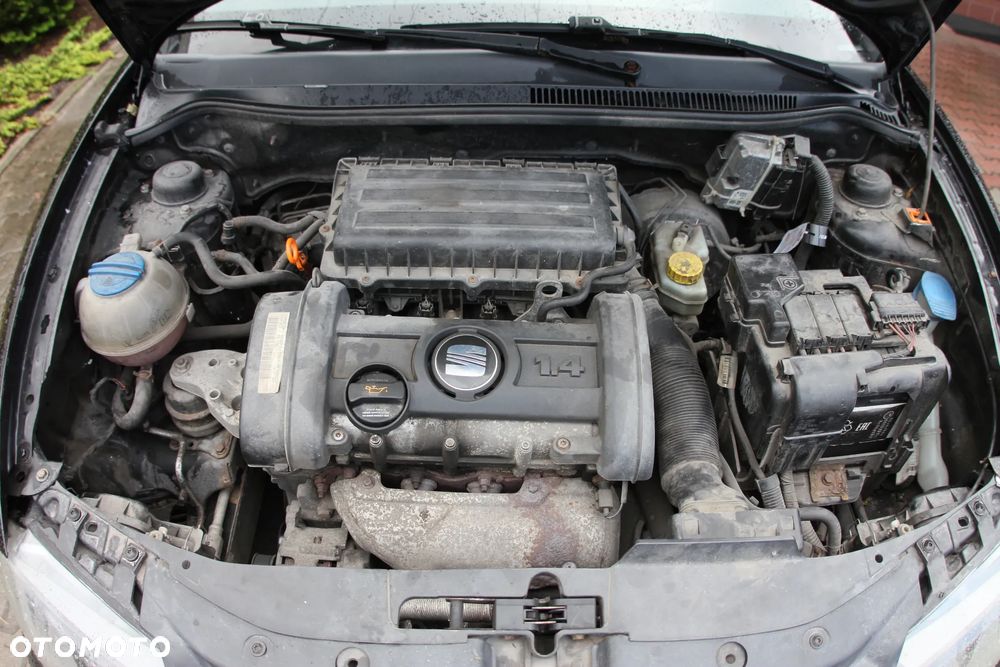 Seat Ibiza - 37