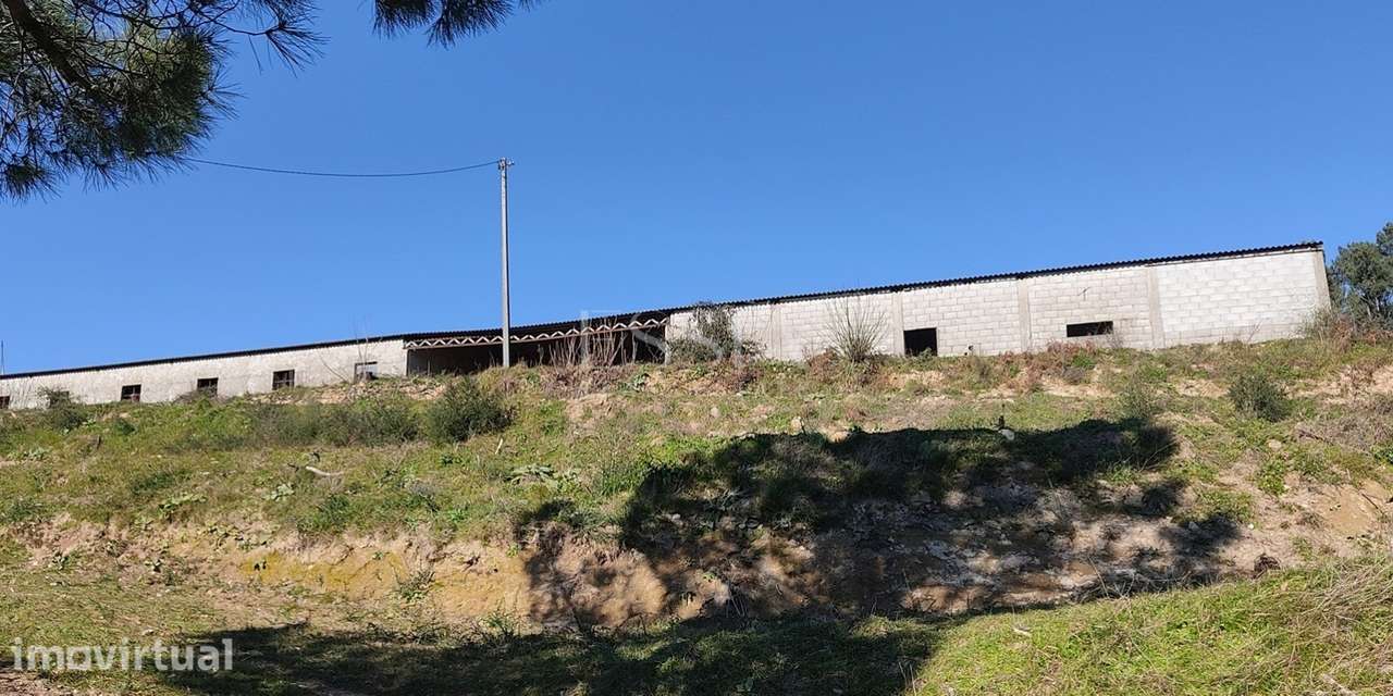 Terreno de 120 000 m² com Potencial Turístico em Baião - Grande imagem: 3/10