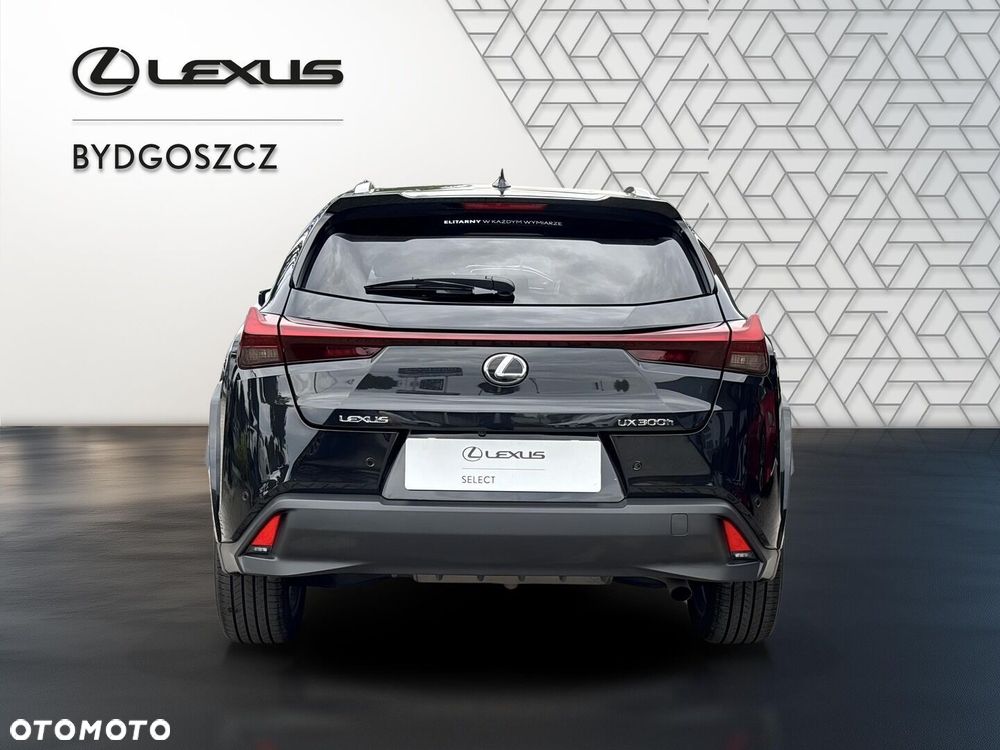 Lexus UX 300h Omotenashi - 5