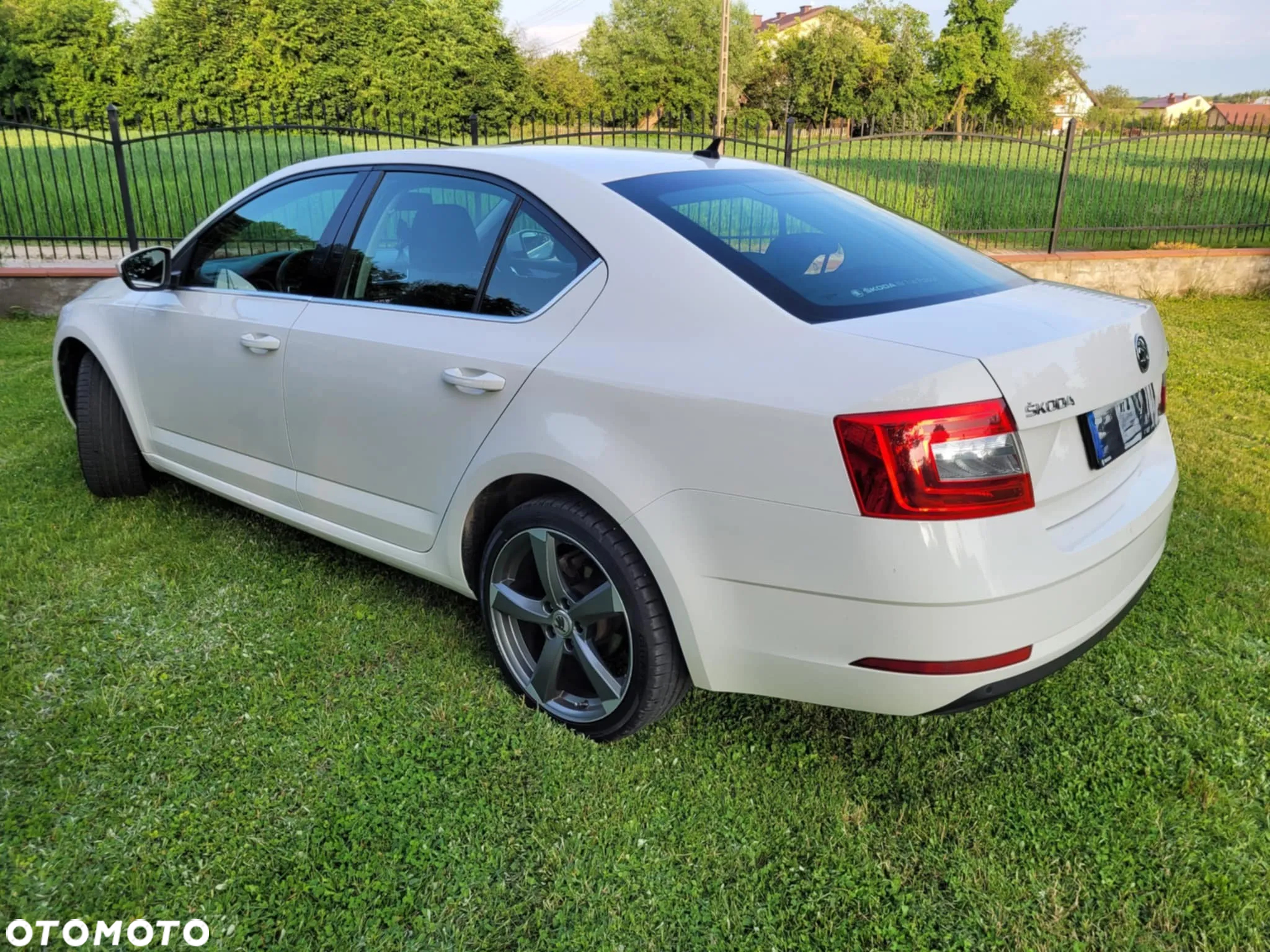 Skoda Octavia - 12