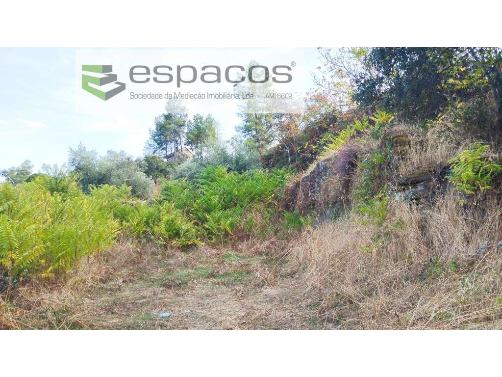 Terreno - Grande imagem: 2/7