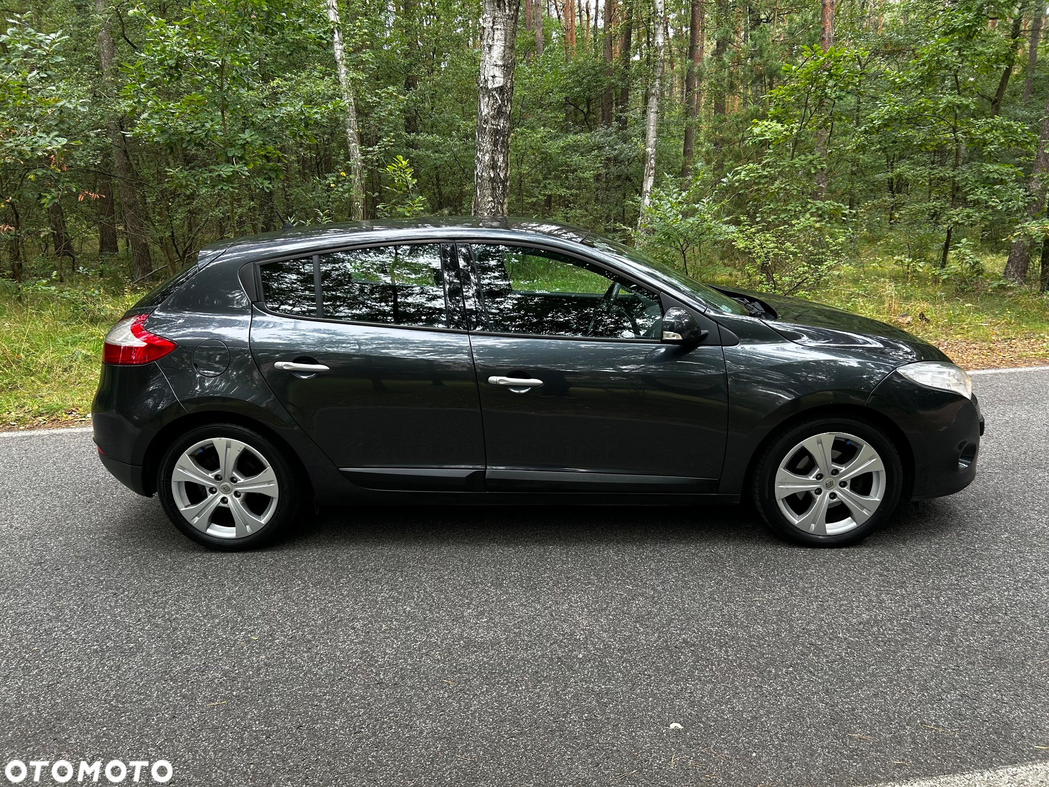 Renault Megane - 5
