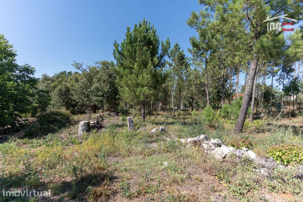 TERRENO COM AREA DE 3870 M2 UMA PARTE PARA CONSTRUÇÃO EM CASAL VELH... - Grande imagem: 2/9