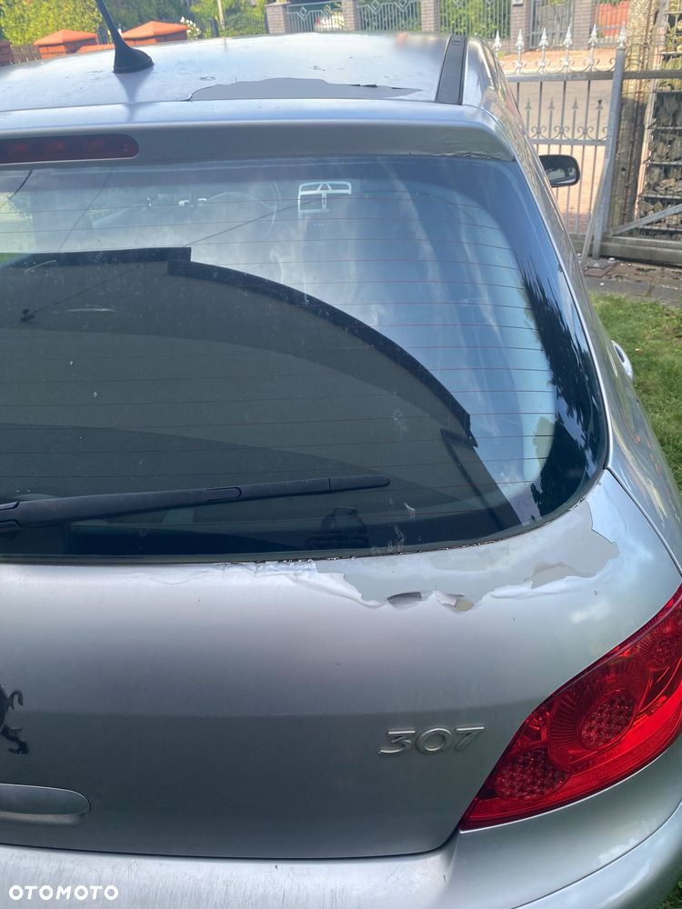 Peugeot 307 1.6 - 7