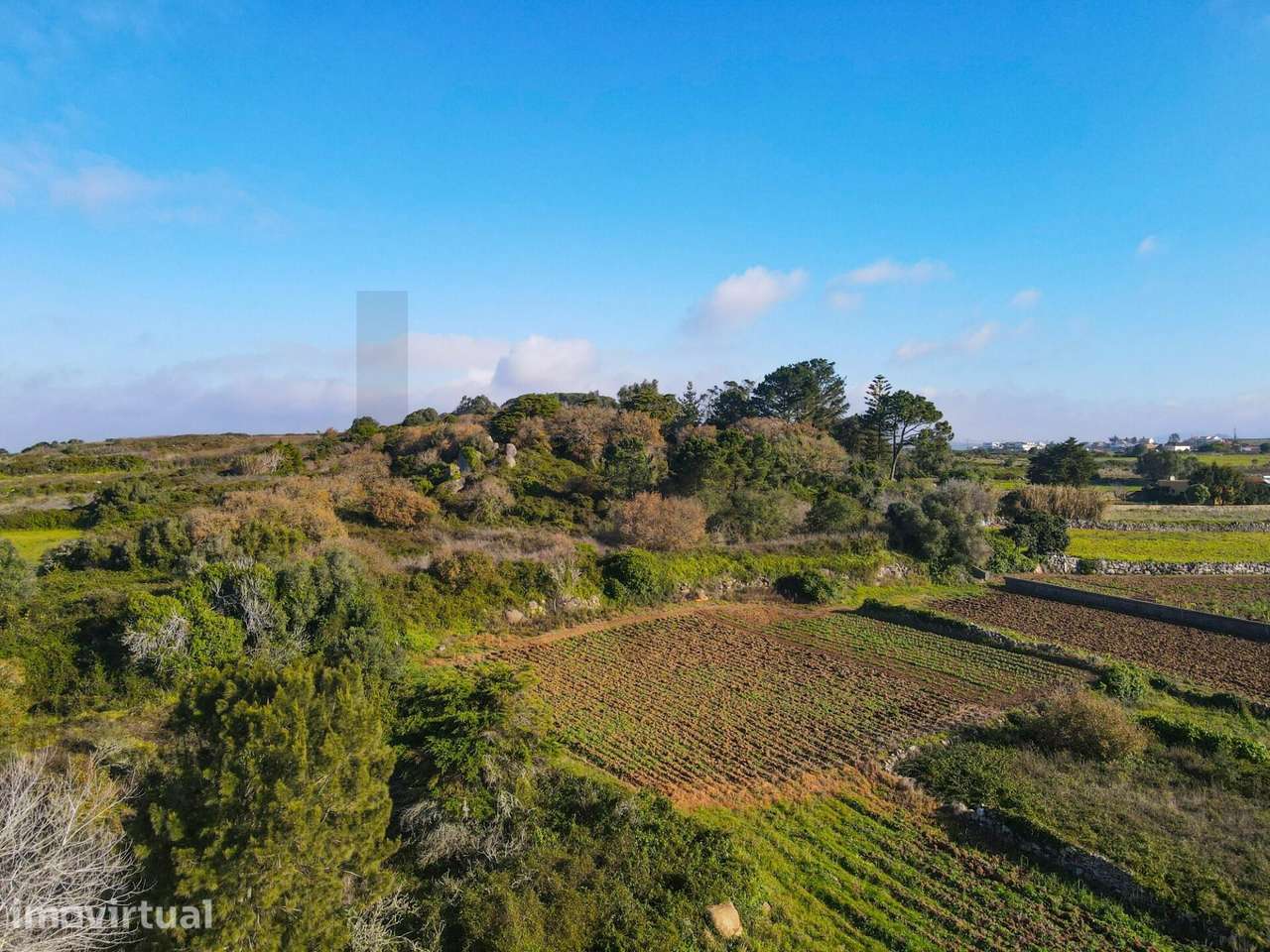Terreno em Vinha De Chão Rijo - Grande imagem: 2/15