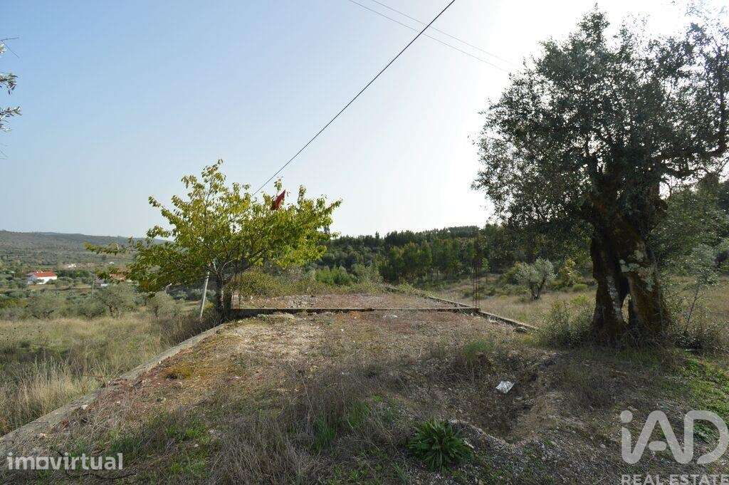 Terreno em Alvorge de 3365,00 m2 - Grande imagem: 2/5