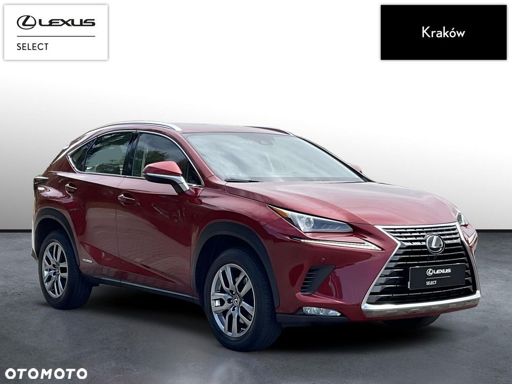 Lexus NX 300h Business Edition AWD - 7