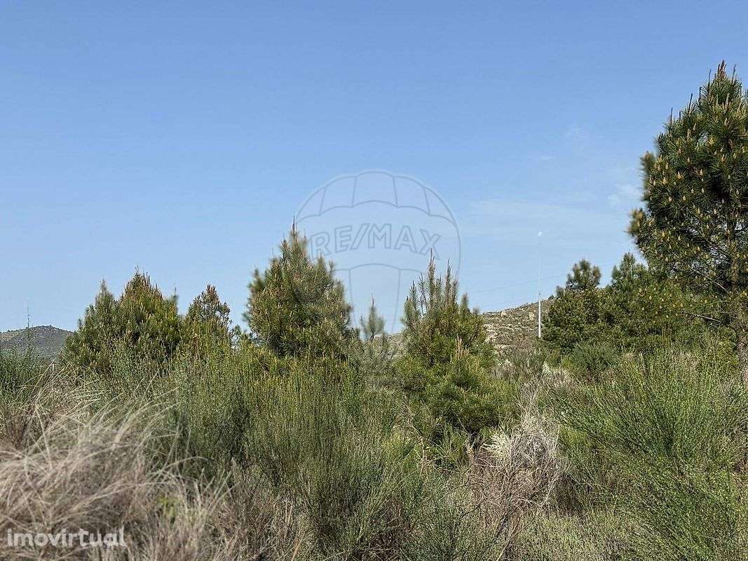 Terreno  para venda - Grande imagem: 2/6