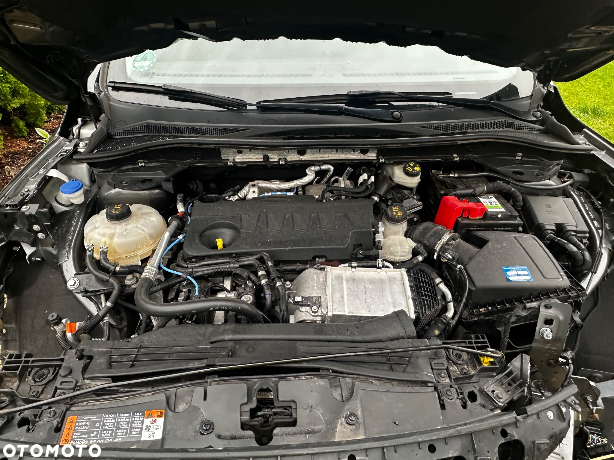 Ford Kuga 2.0 EcoBlue Hybrid COOL&CONNECT - 10