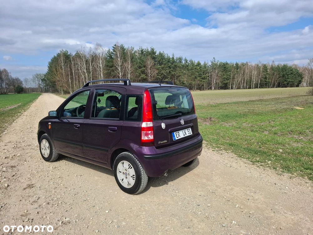 Fiat Panda 1.2 Active - 10
