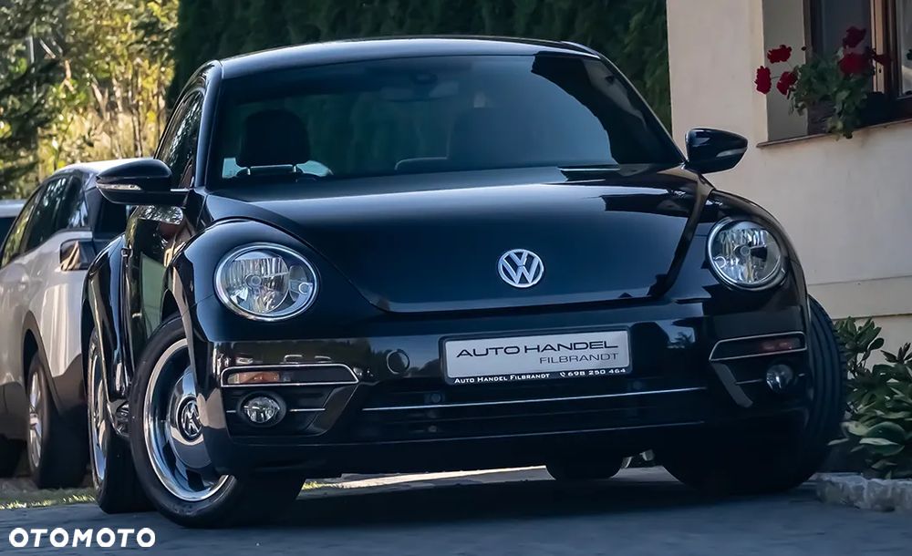 Volkswagen Beetle - 8