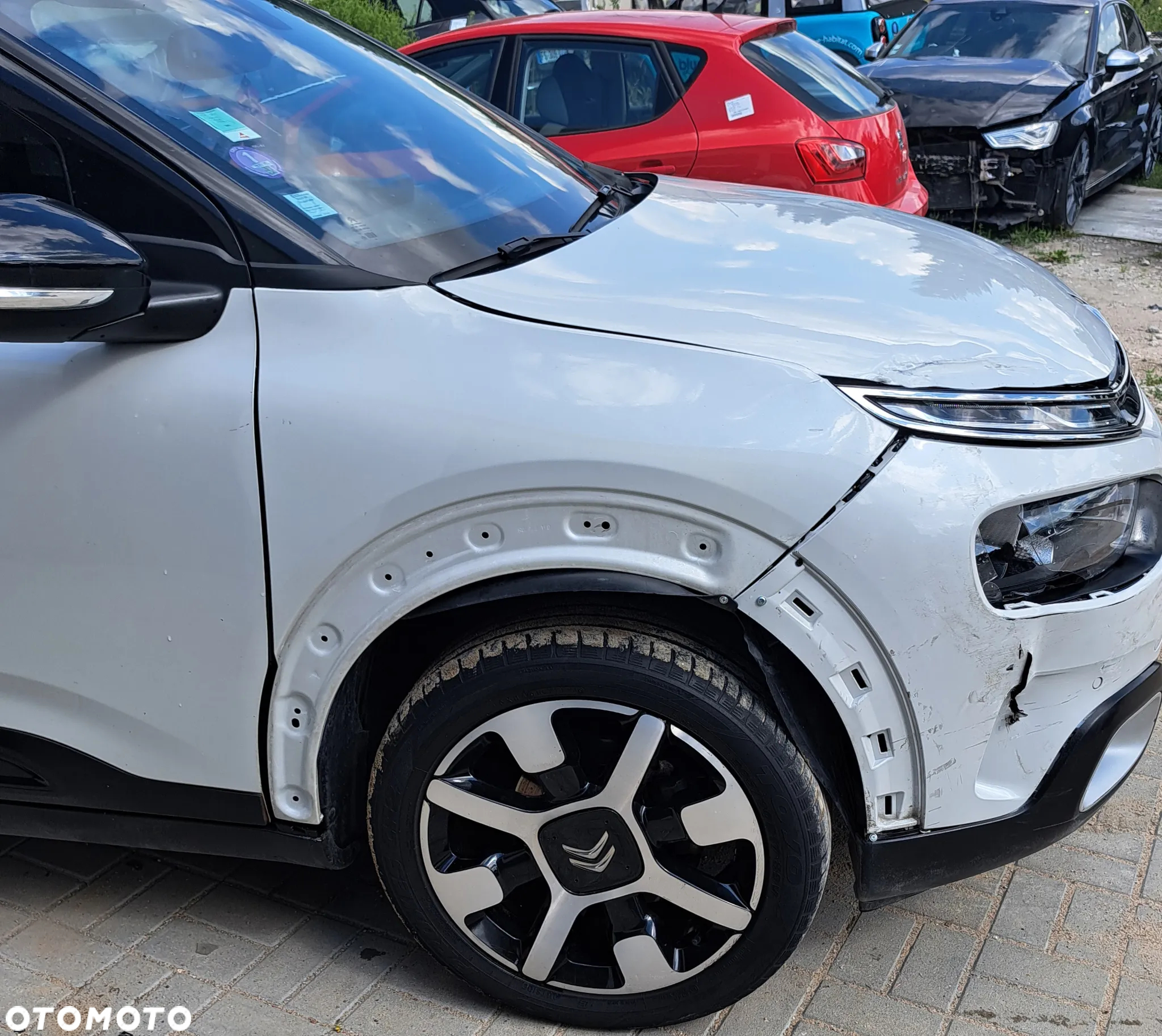 Citroën C4 Cactus 1.2 PureTech GPF Shine Pack EAT6 - 4