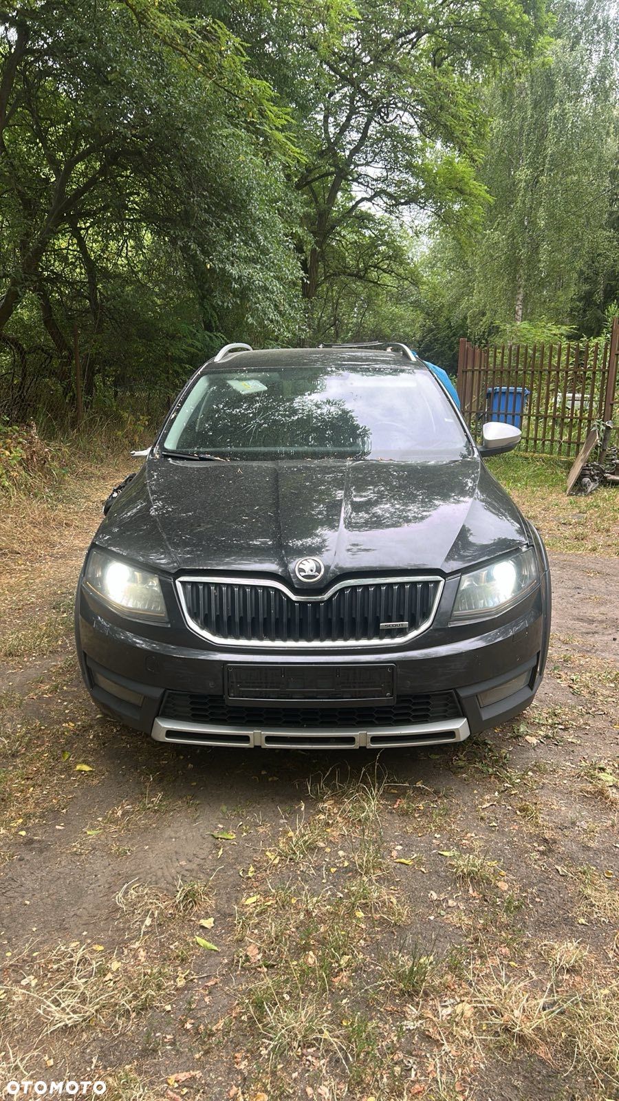 Skoda Octavia 2.0 TDI 4x4 Ambition - 1